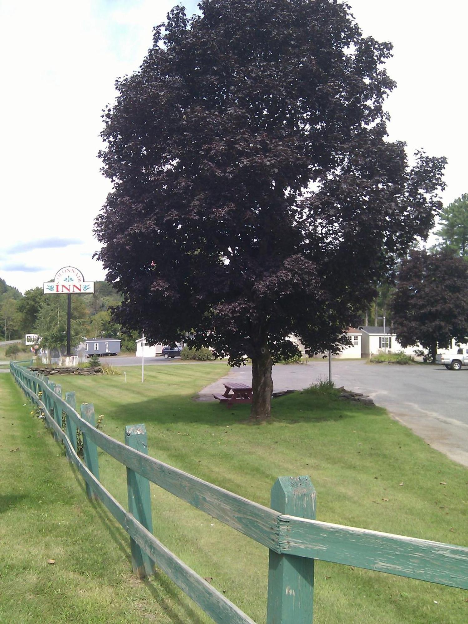 Lyndonville Colonnade Inn מראה חיצוני תמונה